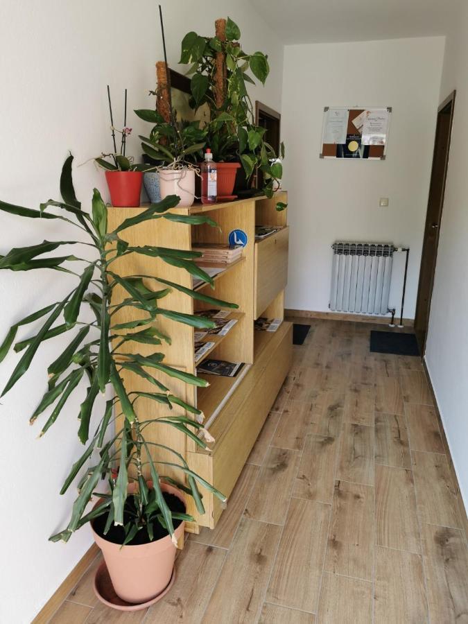 Apartment Martina Banjol Kültér fotó