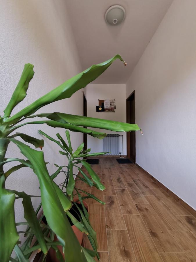 Apartment Martina Banjol Kültér fotó